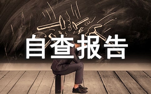 固定资产盘点自查报告（通用5篇）