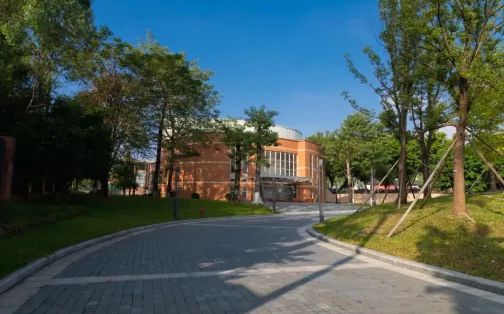 深圳市龙城高级中学校区在哪 在哪个区？