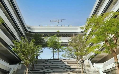 深圳市格致中学校区在哪_在哪个区？