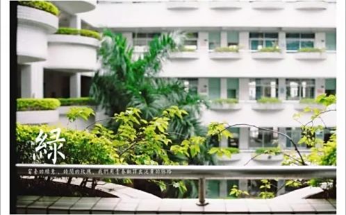深圳市罗湖外语学校在深圳的排名第几,属于什么档次？