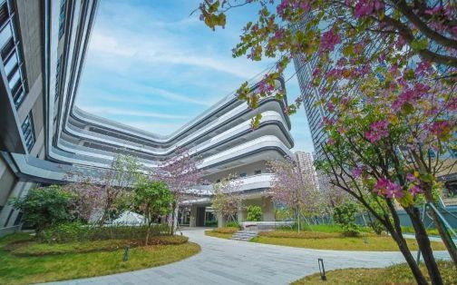 深圳市格致中学在深圳的排名第几 属于什么档次？