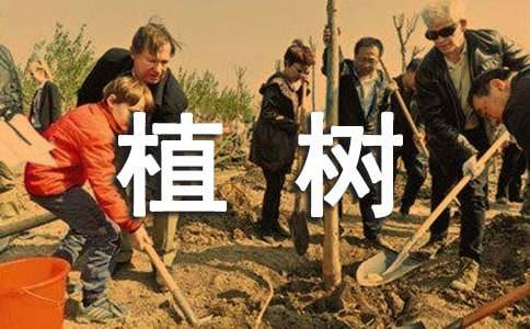 植树的作文（通用27篇）