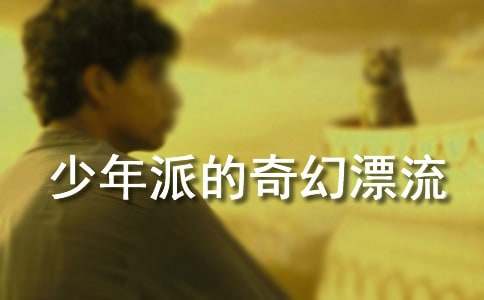 电影《少年派的奇幻漂流》观后感范文（通用15篇）