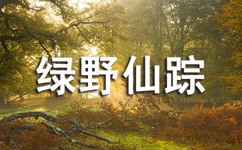 《绿野仙踪》读后感（精选50篇）