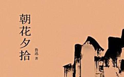 《朝花夕拾》读后感600字（精选33篇）