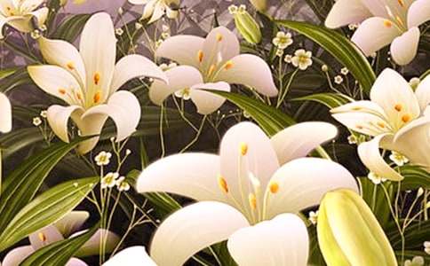 林清玄《心田上的百合花》阅读答案