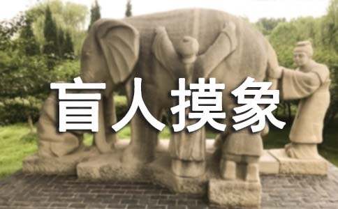 盲人摸象打一成语