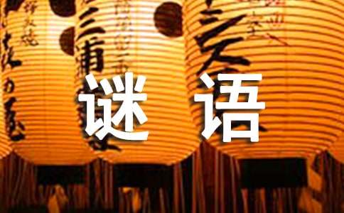 猜谜底谜语大全