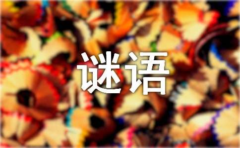 关于儿童谜语及谜底（精选260个）