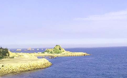 面朝大海，春暖花开