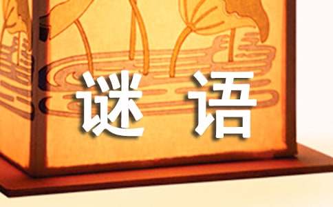 猜谜语凤头虎尾是什么字？？