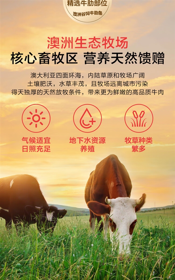 看得见的好牛肉！京东谷饲牛肋条37.8元/斤百亿补贴