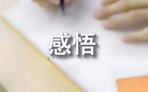 旅行给人生带来的感悟（通用33篇）