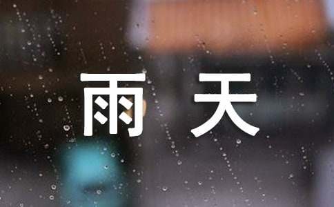 《雨天的歌》三年级阅读训练
