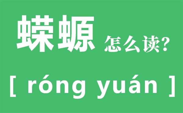 蝾螈怎么读 蝾螈有毒吗 蝾螈吃什么？