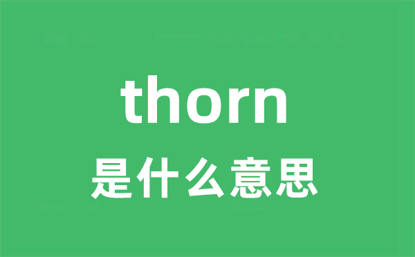 thorn是什么意思 thorn怎么读 中文翻译是什么？