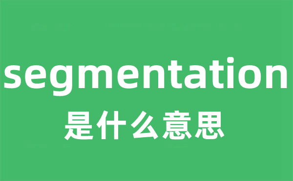 segmentation是什么意思 segmentation怎么读 中文翻译是什么？