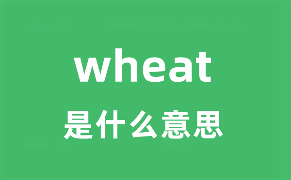 wheat是什么意思 wheat怎么读 中文翻译是什么？
