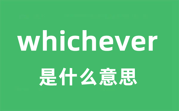 whichever是什么意思 whichever怎么读？