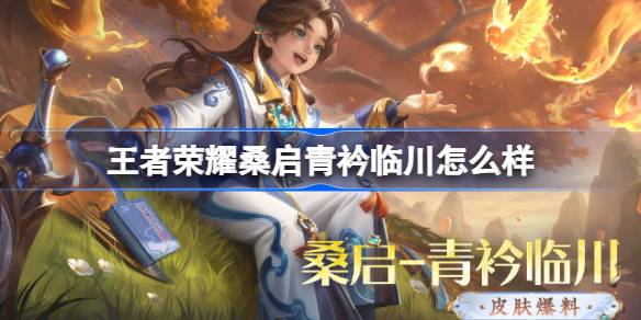 王者荣耀桑启青衿临川多少钱