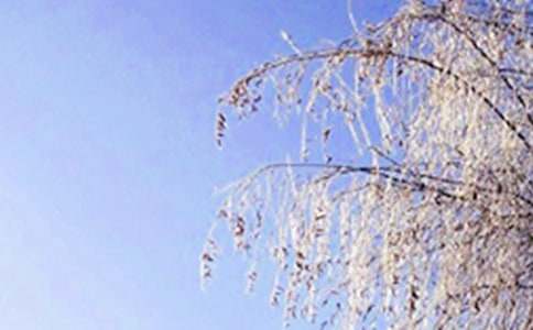 描写冬天的句子（精选440句）