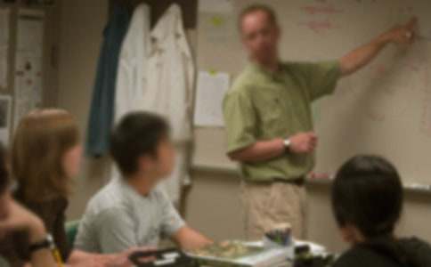 感恩老师的一句话语（精选80句）