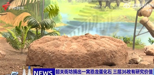男子捐赠36枚恐龙蛋化石 最大直径18厘米 此前守护长达35年