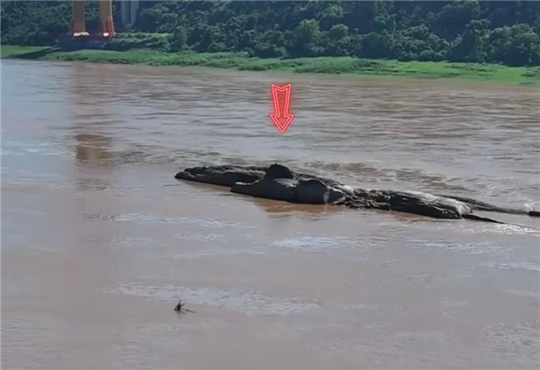 长江重庆段水位下降露出历史石佛 众多游客隔岸祈福