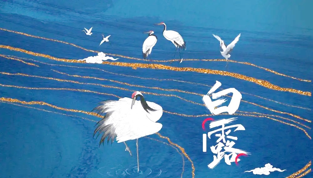 白露属于什么季节？秋季节气划分及气候特征