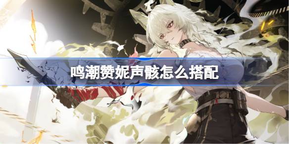 鸣潮赞妮声骸怎么搭配
