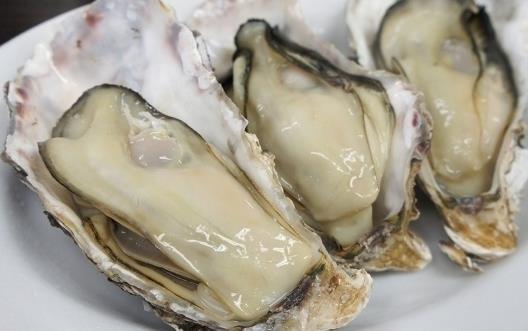 美味牡蛎食谱