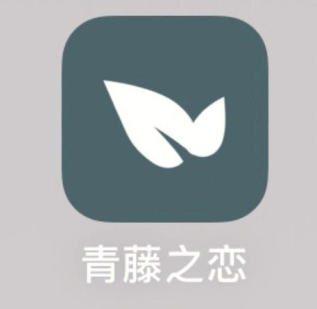 青藤之恋找对象可靠吗