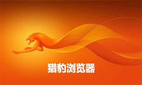 猎豹浏览器手机版界面展示