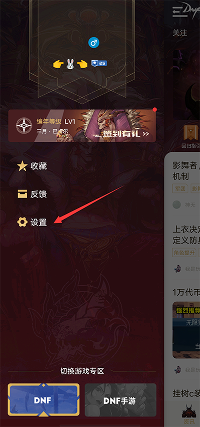 DNF助手设置界面截图