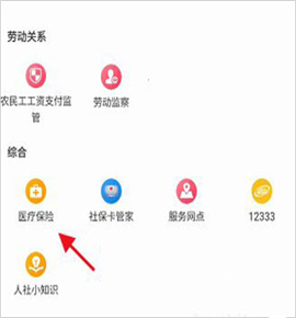 四川人社app医保权益查询