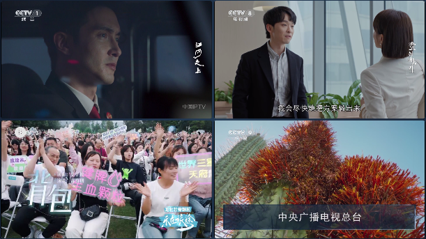 小飞电视四屏播放