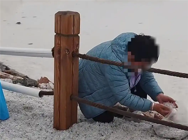 游客成袋装走茶卡盐湖铺路盐 景区：不建议拿 凭套票可免费领