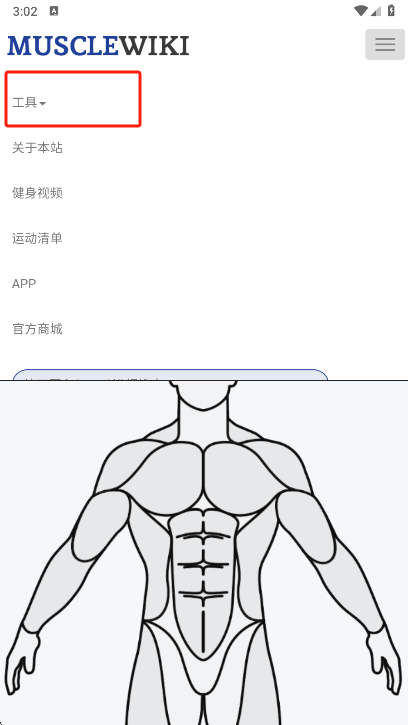 musclewiki工具菜单
