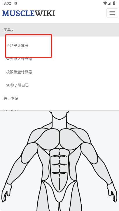musclewiki计算器选择