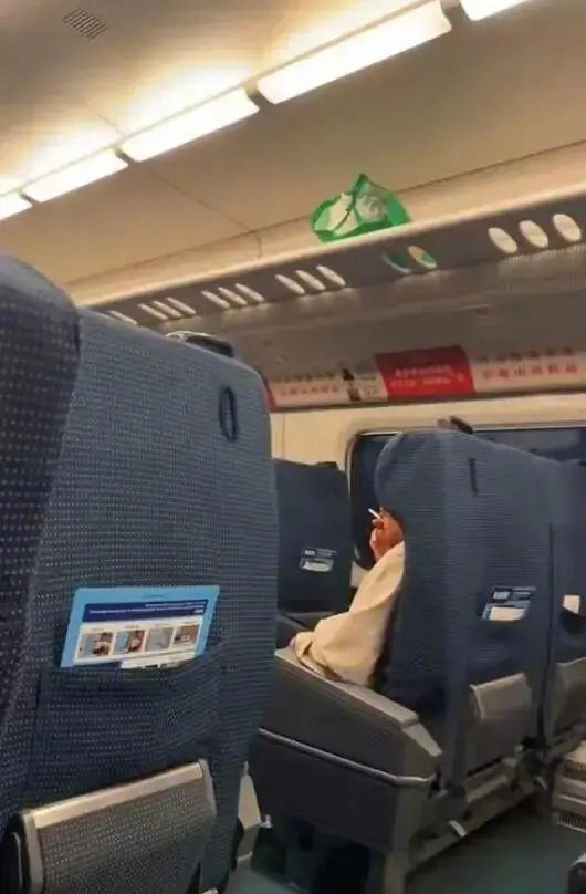 男子高铁上旁若无人抽烟被带走 12306回应:严重可致停运