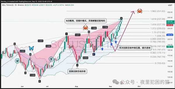 别信 “山寨季” 洗脑！按这套路打单，行情来了你必在车上
