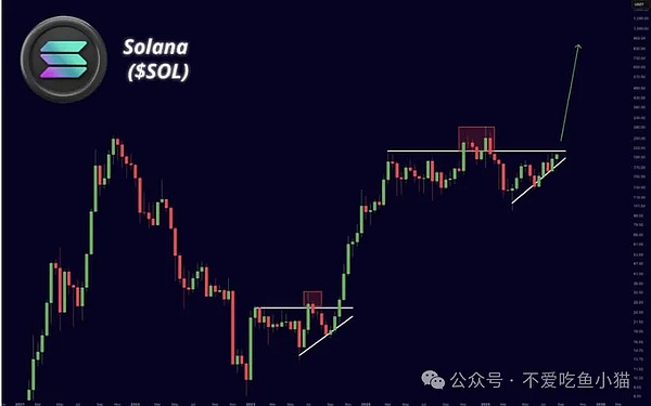 SOL：闷声干大事的学霸！210 刀稳如狗，冲 220 就起飞