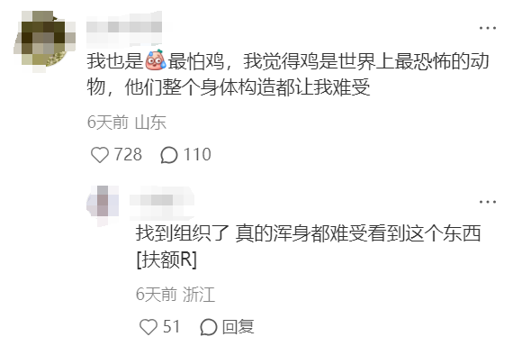 我真的真的很怕鸡！禽类恐惧症 到底是种什么样的感受