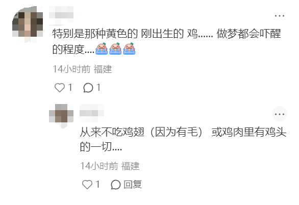 我真的真的很怕鸡！禽类恐惧症 到底是种什么样的感受