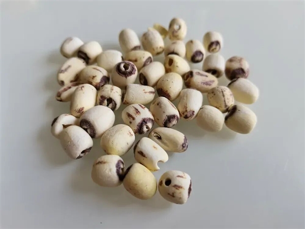 高碳水却低GI的应季美食：三高也能放心吃！错过后悔一年