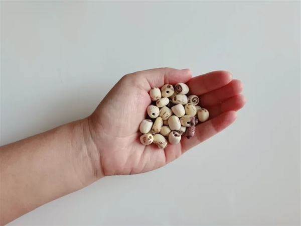 高碳水却低GI的应季美食：三高也能放心吃！错过后悔一年