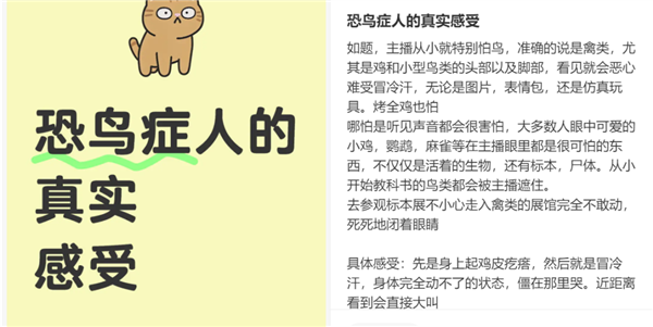 我真的真的很怕鸡！禽类恐惧症 到底是种什么样的感受？