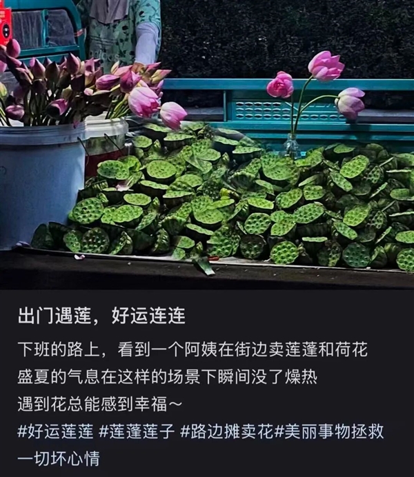 高碳水却低GI的应季美食：三高也能放心吃！错过后悔一年