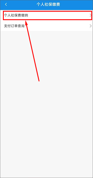 河北税务app社保缴费界面