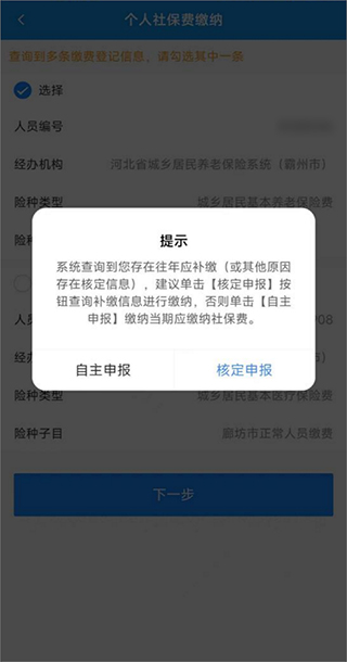 河北税务app申报类型选择界面